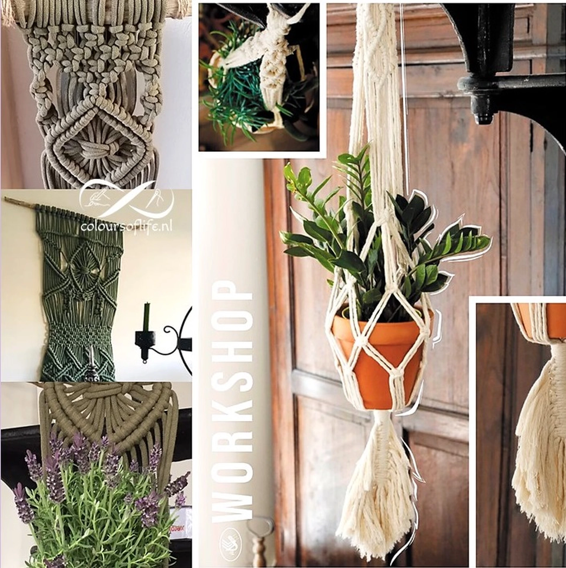 Colours of Life - Macramé Plantenhanger of Wandhanger